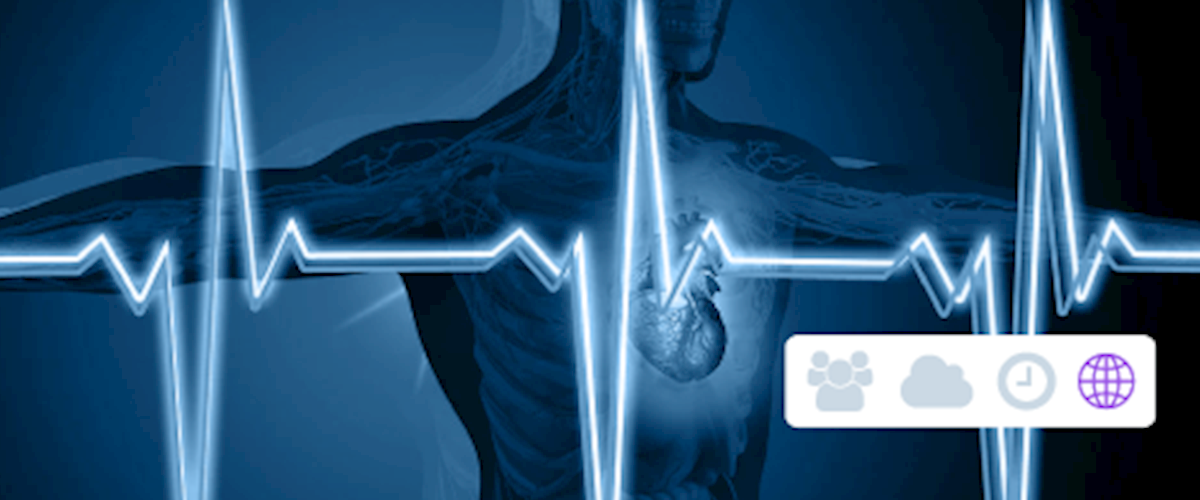 Guideline Directed Medical Therapy in heart failure patients